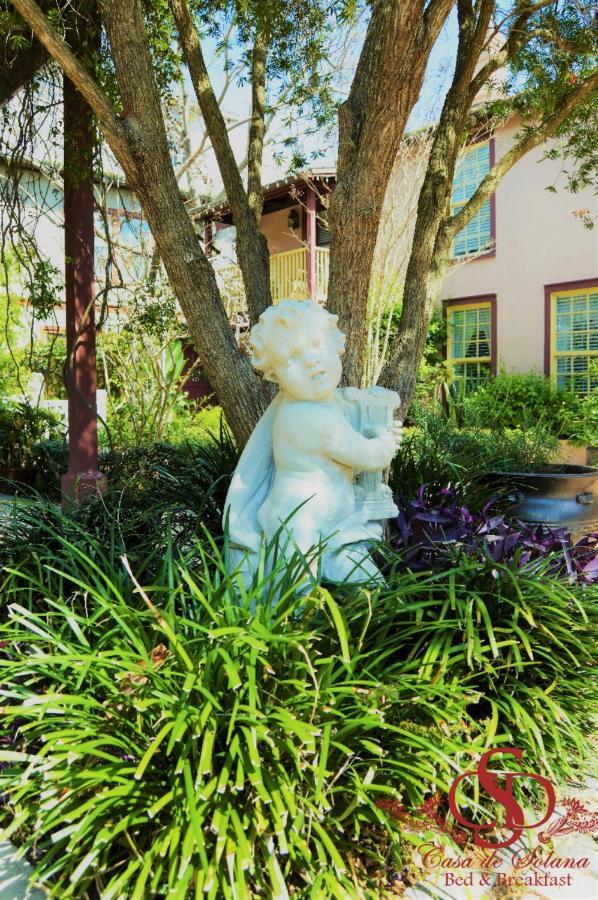 Casa De Solana Bed And Breakfast St. Augustine Dış mekan fotoğraf