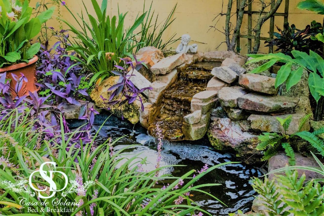 Casa De Solana Bed And Breakfast St. Augustine Dış mekan fotoğraf